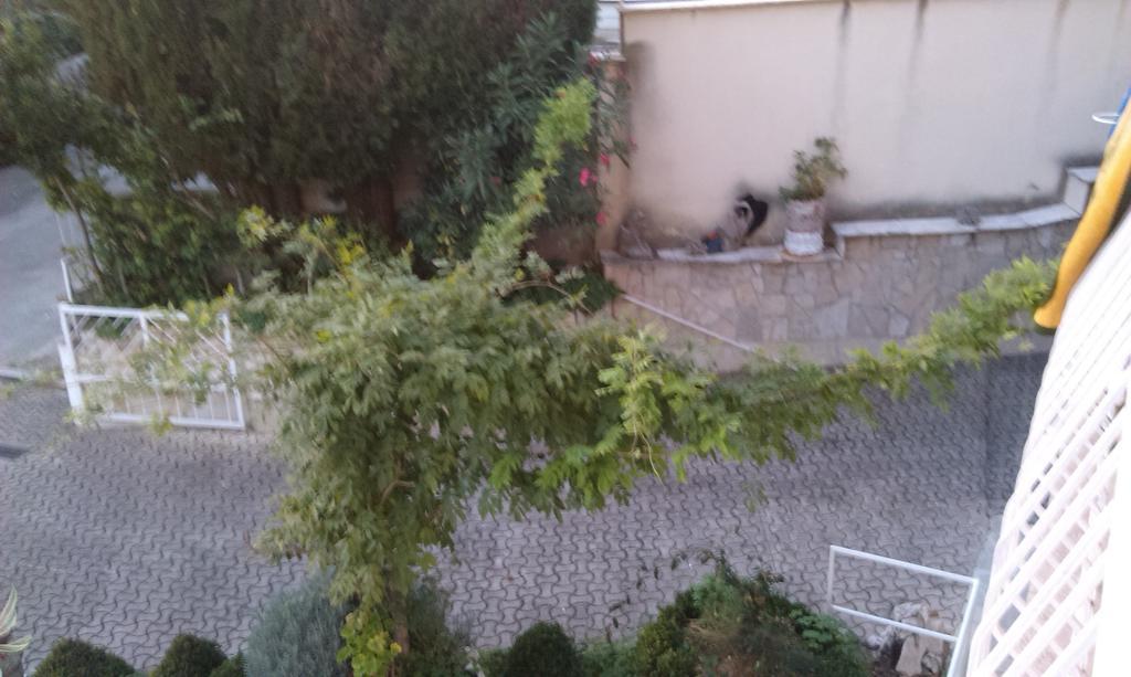 Apartments Pavelic Crikvenica Habitación foto